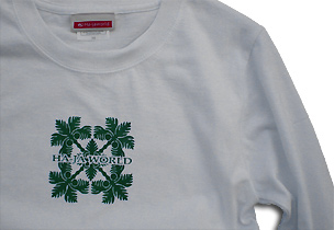 ���f�B�|�X�E�T�[�t����T�E�L���g��