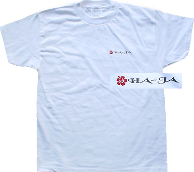 �T�[�t�s�V���c