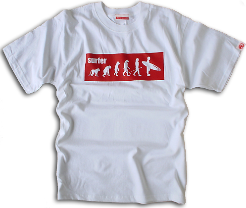 �T�[�t�s�V���c�E�T�[�t�@�[�i���_