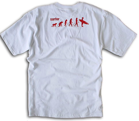 �T�[�t�s�V���c�E�T�[�t�@�[�i���_